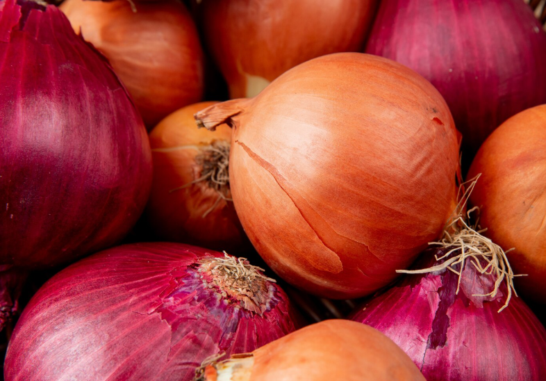 screenshot 2025 10 05 122521