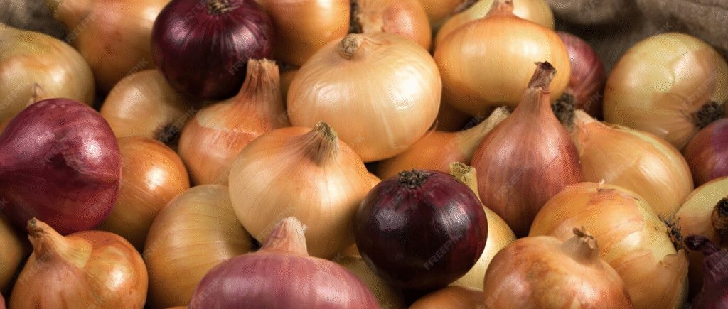 onion onion